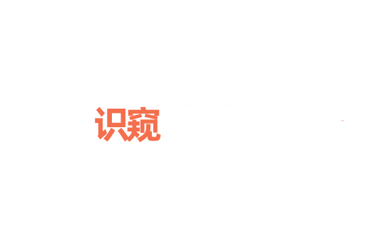识窥