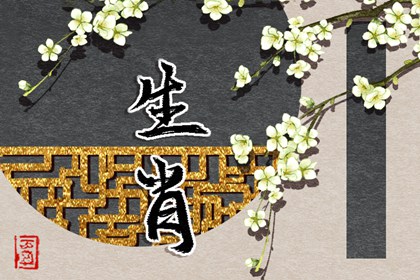 2003年04月19日的宝宝命运 五行缺什么