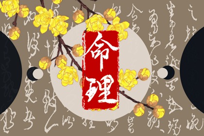 2002年08月30日五行八字命运查询 这天五行缺什么