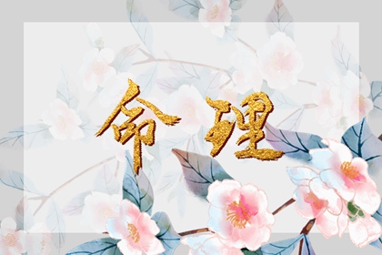 2002年05月18日生辰八字查询 属龙人的命运分析